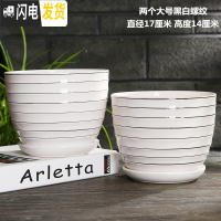 三维工匠多肉花盆陶瓷创意个性大号带托盘家用绿萝兰花北欧简约 两个大号黑白螺纹 中等花盆容器