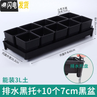 三维工匠美莳控根多肉花盆塑料套装组合创意透气肉肉控型盆器带托盘小花盆 [排水黑托]+10个黑盆(7cm盆) 小花盆容器