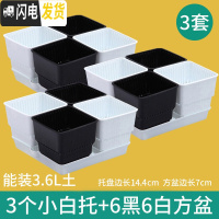 三维工匠美莳控根多肉花盆塑料套装组合创意透气肉肉控型盆器带托盘小花盆 3小白托+6黑6白盆(7cm盆) 小花盆容器