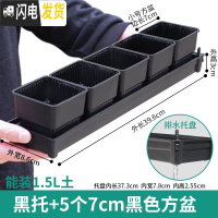 三维工匠美莳控根多肉花盆塑料套装组合创意透气肉肉控型盆器带托盘小花盆 [窄排水黑托]+5个黑盆(7cm盆) 小花盆容器