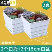 三维工匠美莳控根多肉花盆塑料套装组合创意透气肉肉控型盆器带托盘小花盆 小白托+15cm白色方盆2个 小花盆容器