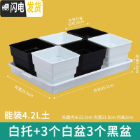 三维工匠美莳控根多肉花盆塑料套装组合创意透气肉肉控型盆器带托盘小花盆 白托+黑白盆各3个(10cm盆) 小花盆容器