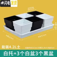 三维工匠美莳控根多肉花盆塑料套装组合创意透气肉肉控型盆器带托盘小花盆 白托+黑白盆各3个(10cm盆) 小花盆容器
