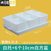 三维工匠美莳控根多肉花盆塑料套装组合创意透气肉肉控型盆器带托盘小花盆 白托+6个白盆(10cm盆) 小花盆容器