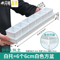 三维工匠美莳控根多肉花盆塑料套装组合创意透气肉肉控型盆器带托盘小花盆 [窄排水白托]+6个白盆(6cm盆) 小花盆容器