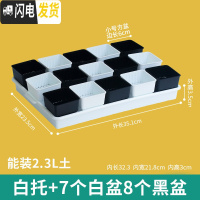 三维工匠美莳控根多肉花盆塑料套装组合创意透气肉肉控型盆器带托盘小花盆 白托+8黑7白盆(6cm盆) 小花盆容器