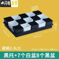 三维工匠美莳控根多肉花盆塑料套装组合创意透气肉肉控型盆器带托盘小花盆 黑托+8黑7白盆(6cm盆) 小花盆容器