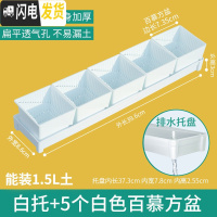 三维工匠美莳控根多肉花盆塑料套装组合创意透气肉肉控型盆器 [新款百慕盆]+[窄排水白托]+5个白盆(7.35cm花盆容器