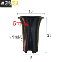 三维工匠园艺兰花盆塑料大中小号透气黑色带孔国兰君子兰墨兰花专用盆 5寸 同规格50个(送网套)花盆容器