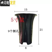 三维工匠园艺兰花盆塑料大中小号透气黑色带孔国兰君子兰墨兰花专用盆 5寸 同规格50个(送网套)花盆容器