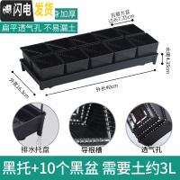 三维工匠美莳控根多肉花盆塑料套装组合创意透气肉肉控型盆器 [新款百慕盆]+[排水黑托]+10个黑盆(7.35cm花盆容器