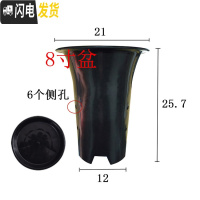 三维工匠园艺兰花盆塑料大中小号透气黑色带孔国兰君子兰墨兰花专用盆 8寸加黑色托盘 同规格10个(送网套)花盆容器