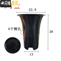 三维工匠园艺兰花盆塑料大中小号透气黑色带孔国兰君子兰墨兰花专用盆 9寸加黑色托盘 同规格10个(送网套)花盆容器