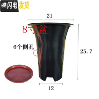三维工匠园艺兰花盆塑料大中小号透气黑色带孔国兰君子兰墨兰花专用盆 8寸加红色托盘 同规格10个(送网套)花盆容器