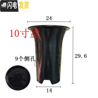 三维工匠园艺兰花盆塑料大中小号透气黑色带孔国兰君子兰墨兰花专用盆 10寸加黑色托盘 同规格50个(送网套)花盆容器