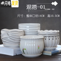 三维工匠花盆陶瓷带托盘肉肉家用创意个性简约大号绿萝小多肉花盆 混搭-01中号4个带托盘 小花盆容器