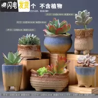 三维工匠多肉花盆陶瓷肉肉植物粗陶透气创意个性大口径中小号盆器 组合6(6个) 中等花盆容器