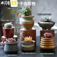 三维工匠多肉花盆陶瓷肉肉植物粗陶透气创意个性大口径中小号盆器 组合9(6个) 中等花盆容器
