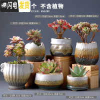 三维工匠多肉花盆陶瓷肉肉植物粗陶透气创意个性大口径中小号盆器 组合24(6个) 中等花盆容器