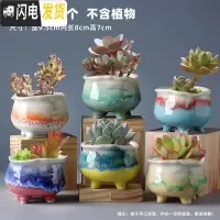 三维工匠多肉花盆陶瓷肉肉植物粗陶透气创意个性大口径中小号盆器 组合17(6个) 中等花盆容器