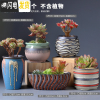 三维工匠多肉花盆陶瓷肉肉植物粗陶透气创意个性大口径中小号盆器 组合13(5个) 中等花盆容器