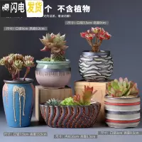 三维工匠多肉花盆陶瓷肉肉植物粗陶透气创意个性大口径中小号盆器 组合13(5个) 中等花盆容器