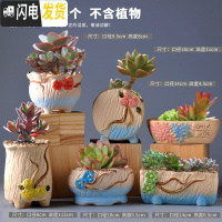 三维工匠多肉花盆陶瓷肉肉植物粗陶透气创意个性大口径中小号盆器 组合11(6个) 中等花盆容器