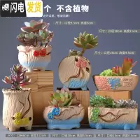 三维工匠多肉花盆陶瓷肉肉植物粗陶透气创意个性大口径中小号盆器 组合11(6个) 中等花盆容器