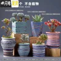 三维工匠多肉花盆陶瓷肉肉植物粗陶透气创意个性大口径中小号盆器 组合23(6个) 中等花盆容器