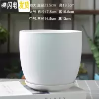 三维工匠北欧简约花盆陶瓷大号带托盘白色绿萝盆栽室内多肉盆 梯形哑光白 大花盆容器