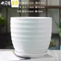 三维工匠北欧简约花盆陶瓷大号带托盘白色绿萝盆栽室内多肉盆 梯形亮光白圈纹 大花盆容器