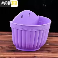三维工匠简约塑料绿萝多肉吊盆挂盆 垂吊花盆壁挂式花盆 悬挂式吊篮盆 紫色6个(配挂钩) 特大[口长24.5CM]花盆容器