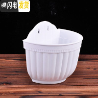 三维工匠简约塑料绿萝多肉吊盆挂盆 垂吊花盆壁挂式花盆 悬挂式吊篮盆 白色6个(配挂钩) 大号[口长20.5CM]花盆容器