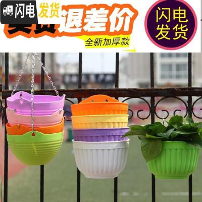 三维工匠简约塑料绿萝多肉吊盆挂盆 垂吊花盆壁挂式花盆 悬挂式吊篮盆 颜色随机6个(配挂钩) 特大[口长24.5C花盆容器