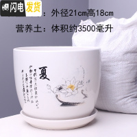 三维工匠特大号花盆陶瓷简约吊兰创意绿萝家用阳台多肉花盆带托盘 303夏特大号+土 特大花盆容器