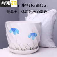 三维工匠特大号花盆陶瓷简约吊兰创意绿萝家用阳台多肉花盆带托盘 55613兰特大号+土 特大花盆容器