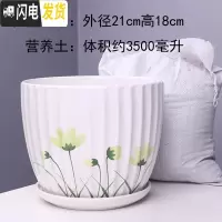 三维工匠特大号花盆陶瓷简约吊兰创意绿萝家用阳台多肉花盆带托盘 56025绿特大号+土 特大花盆容器