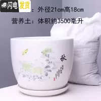 三维工匠特大号花盆陶瓷简约吊兰创意绿萝家用阳台多肉花盆带托盘 303秋特大号+土 特大花盆容器