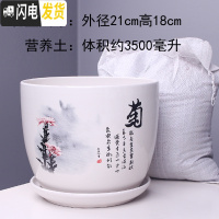 三维工匠特大号花盆陶瓷简约吊兰创意绿萝家用阳台多肉花盆带托盘 303菊花特大号+土 特大花盆容器