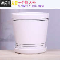 三维工匠两个大号花盆陶瓷带托盘清创意个性家用吊兰绿萝多肉绿植花盆 30-白色一个21厘米 大花盆容器