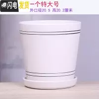 三维工匠两个大号花盆陶瓷带托盘清创意个性家用吊兰绿萝多肉绿植花盆 30-白色一个21厘米 大花盆容器