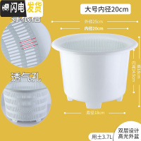 三维工匠美莳蝴蝶兰控根花盆透气加仑塑料胶树脂大号绿萝君子虎皮兰专用盆 内径20cm白色套盆[无托盘] 中等花盆容器