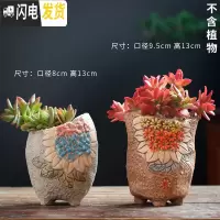 三维工匠多肉花盆陶瓷大号老桩花盆创意法师陶罐粗陶肉肉植物花盆 向日葵棕+二十五蓝 中等花盆容器