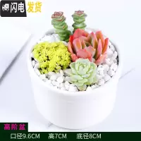 三维工匠多肉花盆白色陶瓷盆长方形肉肉植物简约白瓷多肉盆小绿植花卉盆器 高阶盆[口9.6X9.6X高7] 中等花盆容器