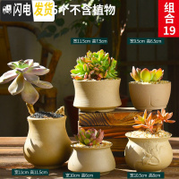 三维工匠多肉花盆粗陶透气复古陶瓷大口径创意盆景盆肉肉花盆 款式5[5个] 中等花盆容器