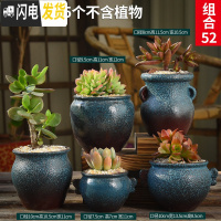 三维工匠多肉花盆粗陶透气复古陶瓷大口径创意盆景盆肉肉花盆 款式19[5个] 中等花盆容器