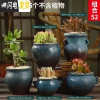 三维工匠多肉花盆粗陶透气复古陶瓷大口径创意盆景盆肉肉花盆 款式19[5个] 中等花盆容器