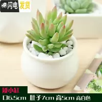 三维工匠多肉花盆白色陶瓷盆长方形肉肉植物简约白瓷多肉盆小绿植花卉盆器 小缸盆[6.5X6.5X5] 中等花盆容器