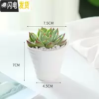 三维工匠多肉花盆白色陶瓷盆长方形肉肉植物简约白瓷多肉盆小绿植花卉盆器 圆锥盆[7.5X4.5X7cm] 中等花盆容器