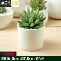 三维工匠多肉花盆白色陶瓷盆长方形肉肉植物简约白瓷多肉盆小绿植花卉盆器 2个中号圆柱[6X6X7] 中等花盆容器